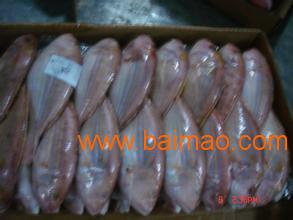 青島進(jìn)口海鮮清關(guān)代理公司 生產(chǎn)廠家、價(jià)格與海鮮進(jìn)口全解析